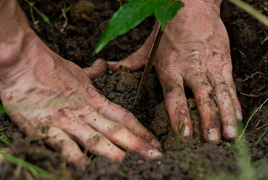 Durabilité et régénération environnementale
