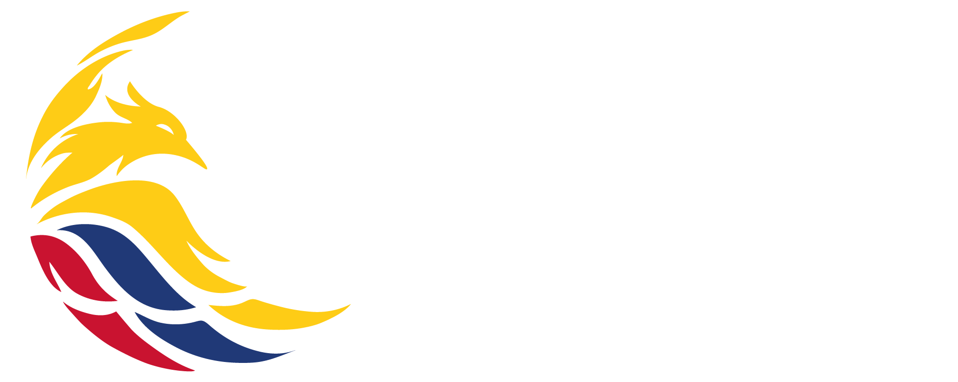Logo de Phoenix Initiative Colombia